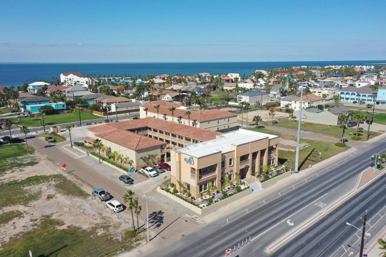 El Delfin Lodge South Padre Island Eksteriør billede